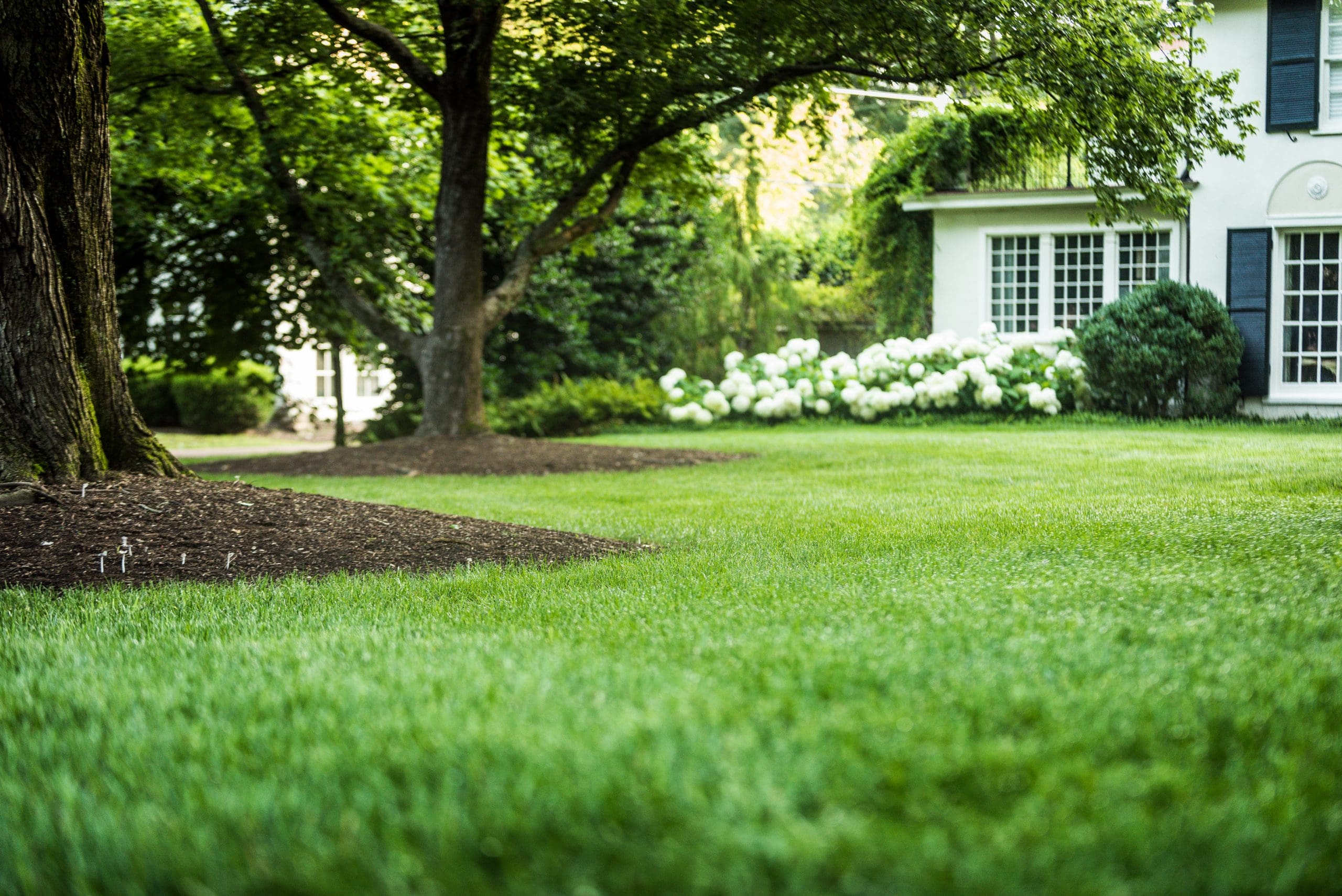 Photo inspiration: Landscape Great House Reference: Spring Landscaping Prepping Your Lawn