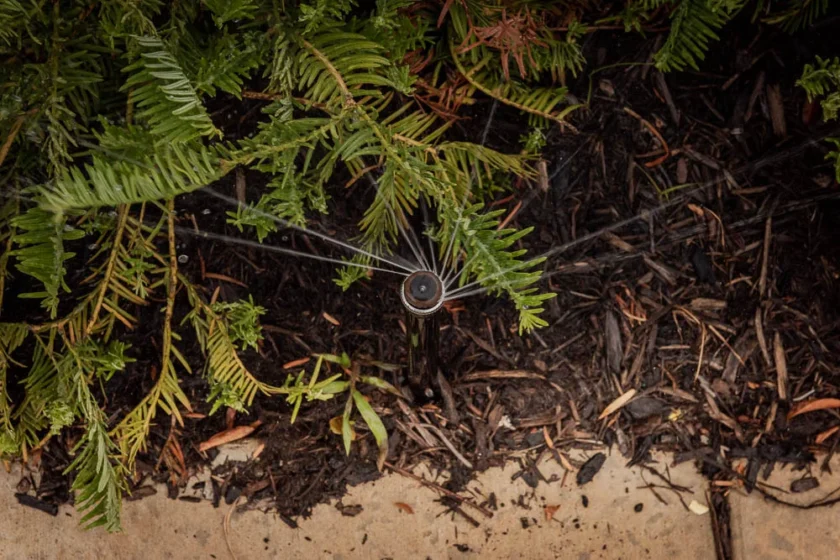 Nashville, TN Sprinkler Companies