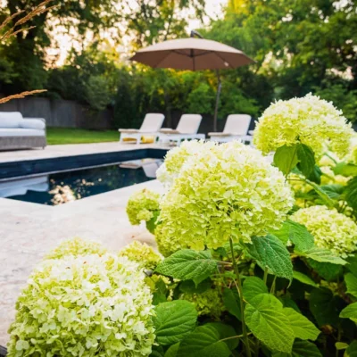 Nashville, TN Pool Builders