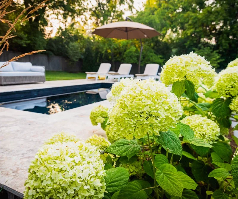 Nashville, TN Pool Builders