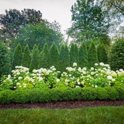 Nashville, TN Landscape Design Team