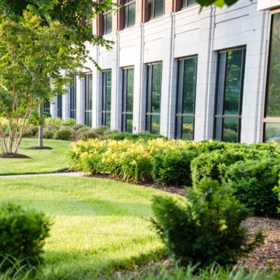 Nashville, TN Commercial Landscaping Companies