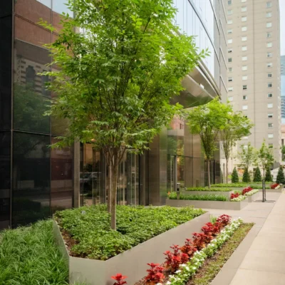 Nashville, TN Commercial Landscaping Companies