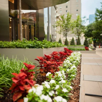 Nashville, TN Commercial Landscaping Companies