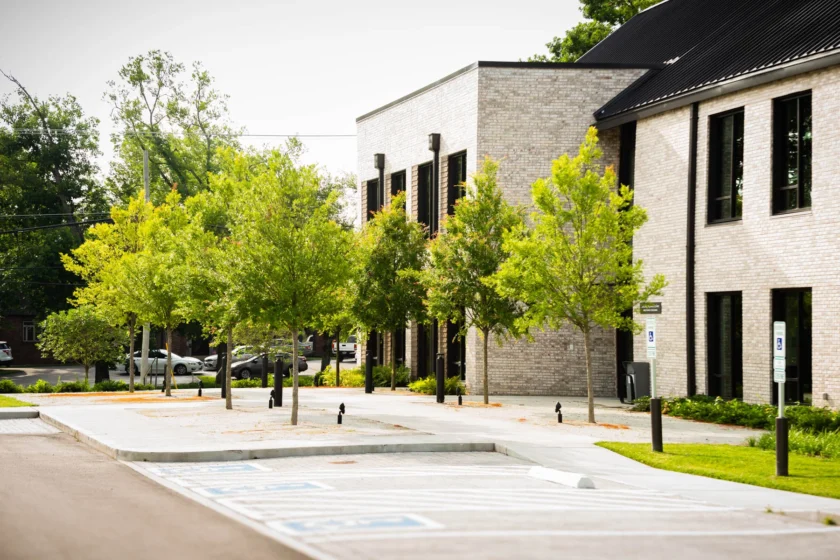 Nashville, TN Landscape Installation