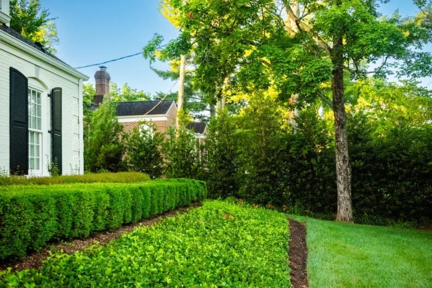 Nashville, TN Landscape Maintenance Company