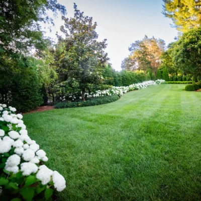 Franklin, TN Landscape Maintenance Service
