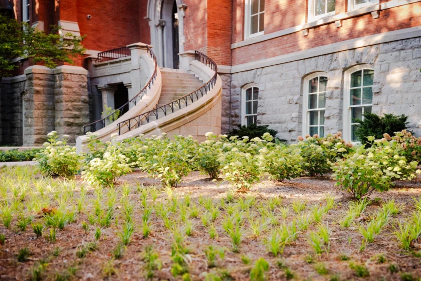 Nashville, TN Landscape Installation