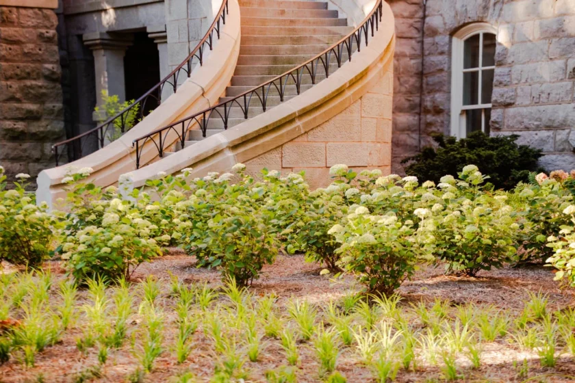 Nashville, TN Landscape Installation