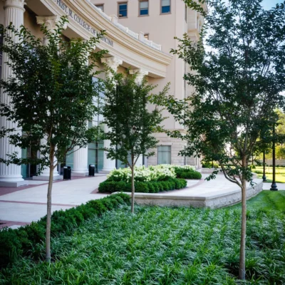 Nashville, TN Landscape Installation