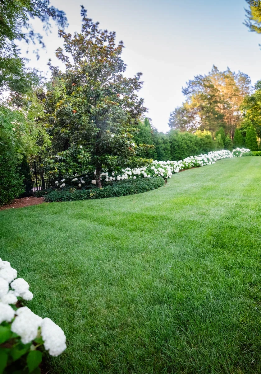 Belle Meade, TN Landscape Maintenance
