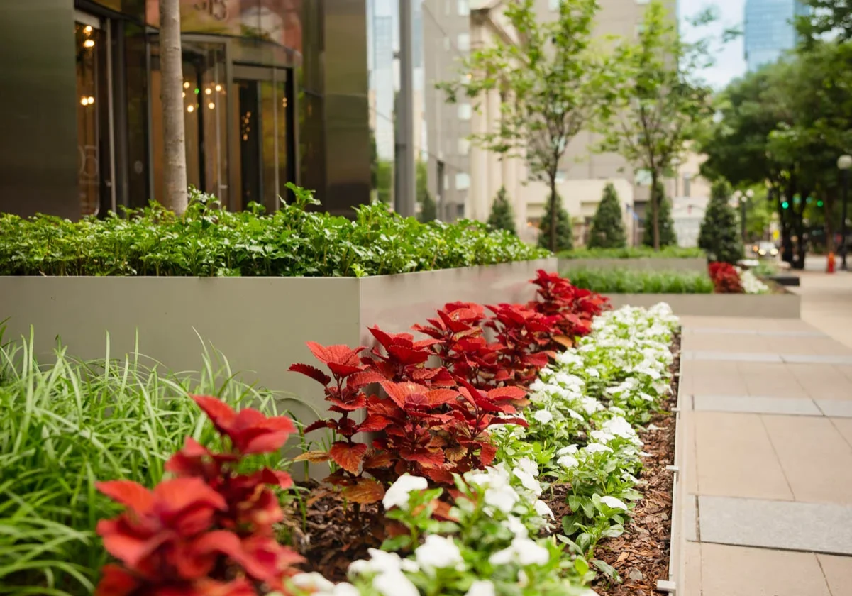 Nashville, TN Commercial Landscaping Companies