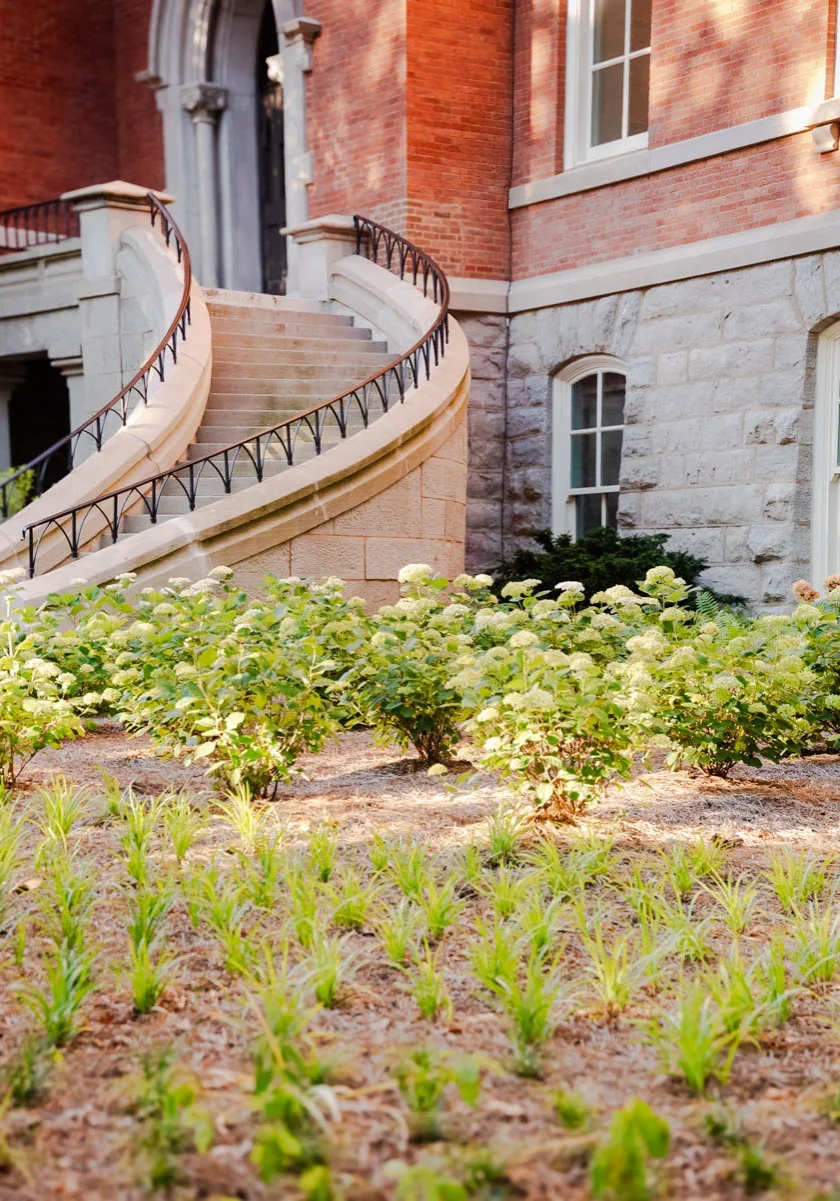 Greathouse June2024 5274 Nashville, TN Landscape Installation
