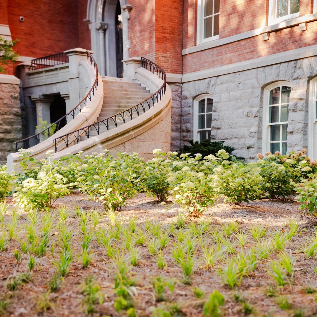 Greathouse June2024 5274 Nashville, TN Landscape Installation