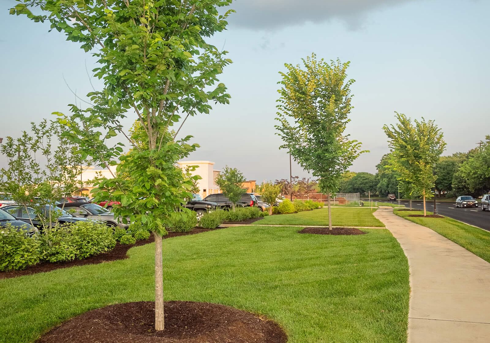 Nashville, TN Commercial Landscaping Companies1