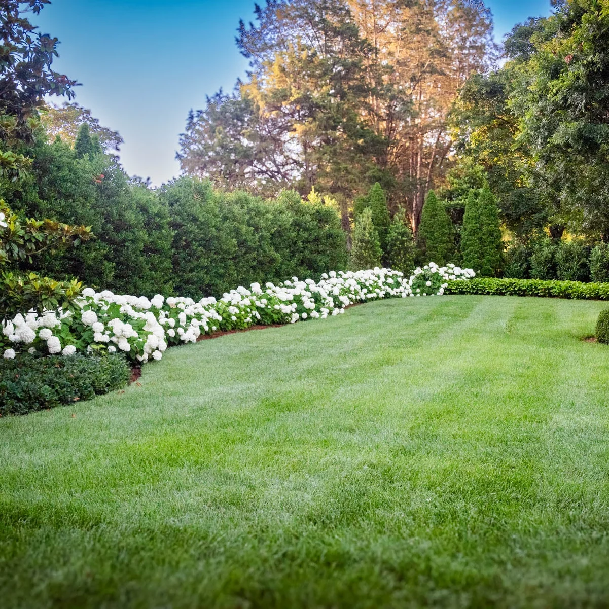 Residential Landscape Maintenance 6 Brentwood, TN Landscape Maintenance Services